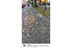 Einsatzfoto Branddirektion München