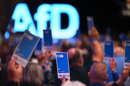 Die AfD will ihre neue Jugendorganisation stärker an sich binden. (Archivbild)