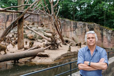 Dass die Tötung der Paviane im Gegensatz zu vielen anderen Zootieren für einen Aufschrei sorgt, ist nach Ansicht von Direktor Dag Encke eine emotionale Geschichte.
