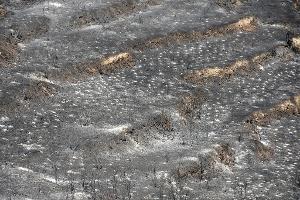 Den Behörden zufolge soll eine Fläche von rund 120 Quadratkilometern verbrannt sein. 