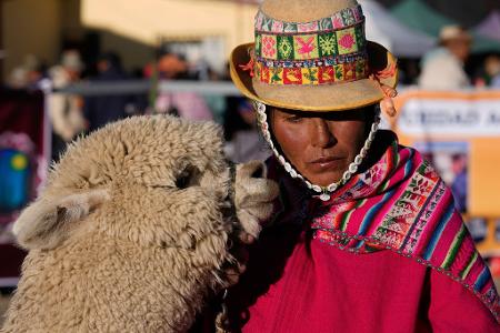 Eine Aymara-Frau und ihr Lama nehmen an der 15. Nationalen Camelid Expo in El Alto, Bolivien, teil.