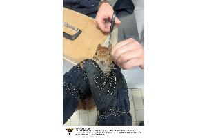 Einsatzfoto Feuerwehr München
