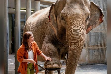 TV-Tipps am Dienstag TV-Tipps am Dienstag